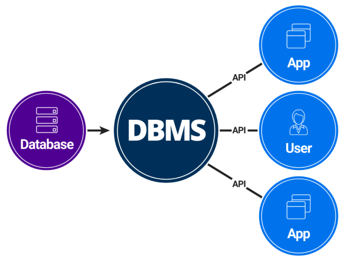 Understanding Database